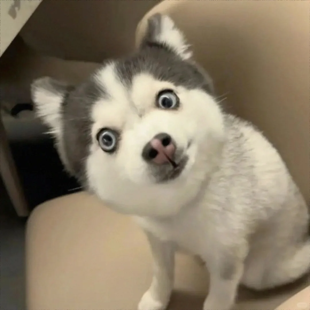 一款让领导不敢委以重任的头像&表情包