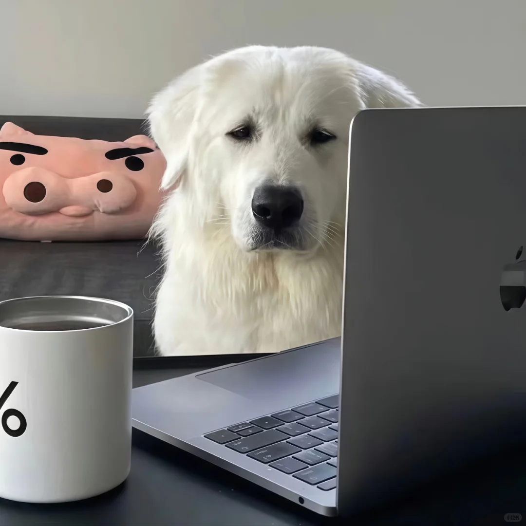 表情包 | 我的精神状态belike