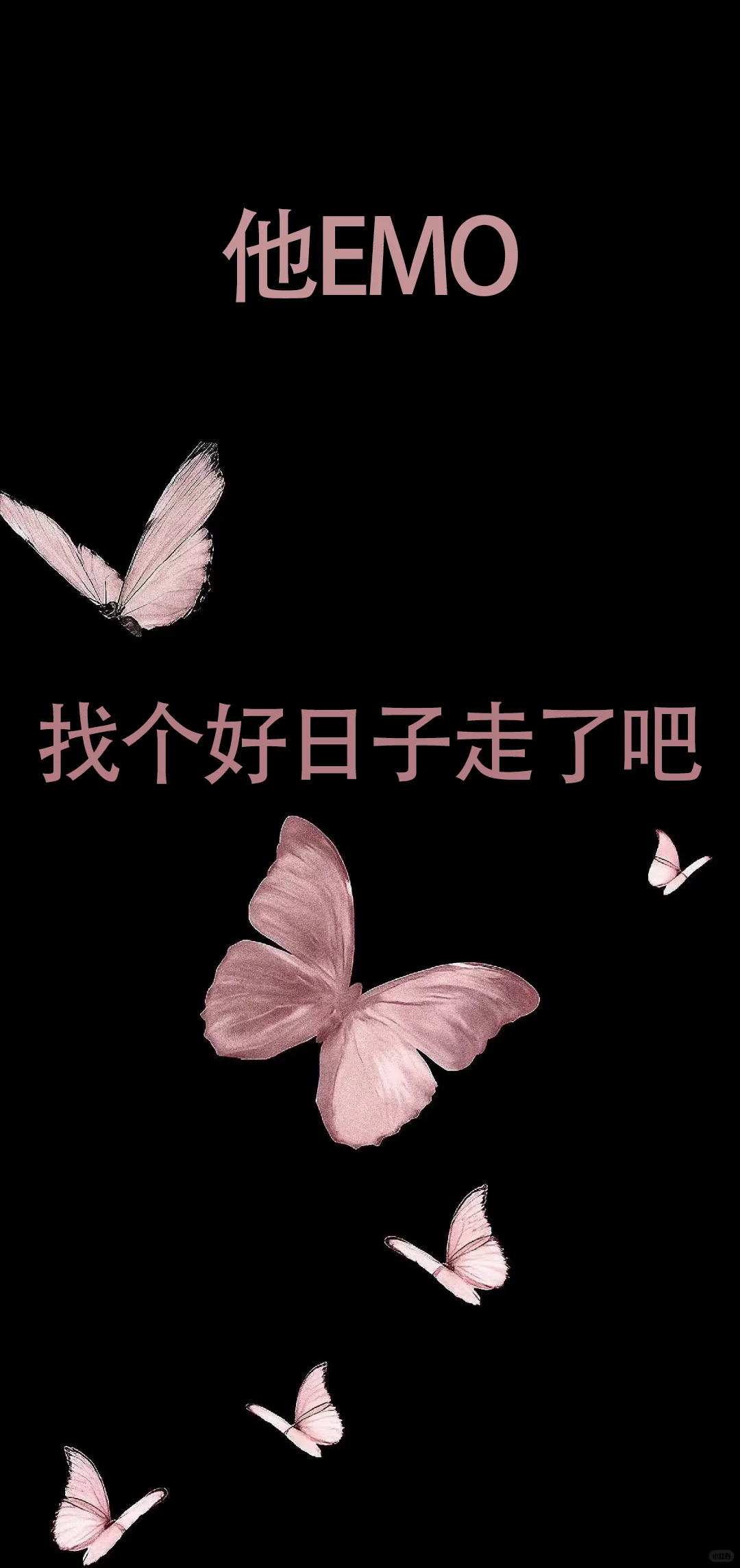 拿去调戏男朋友