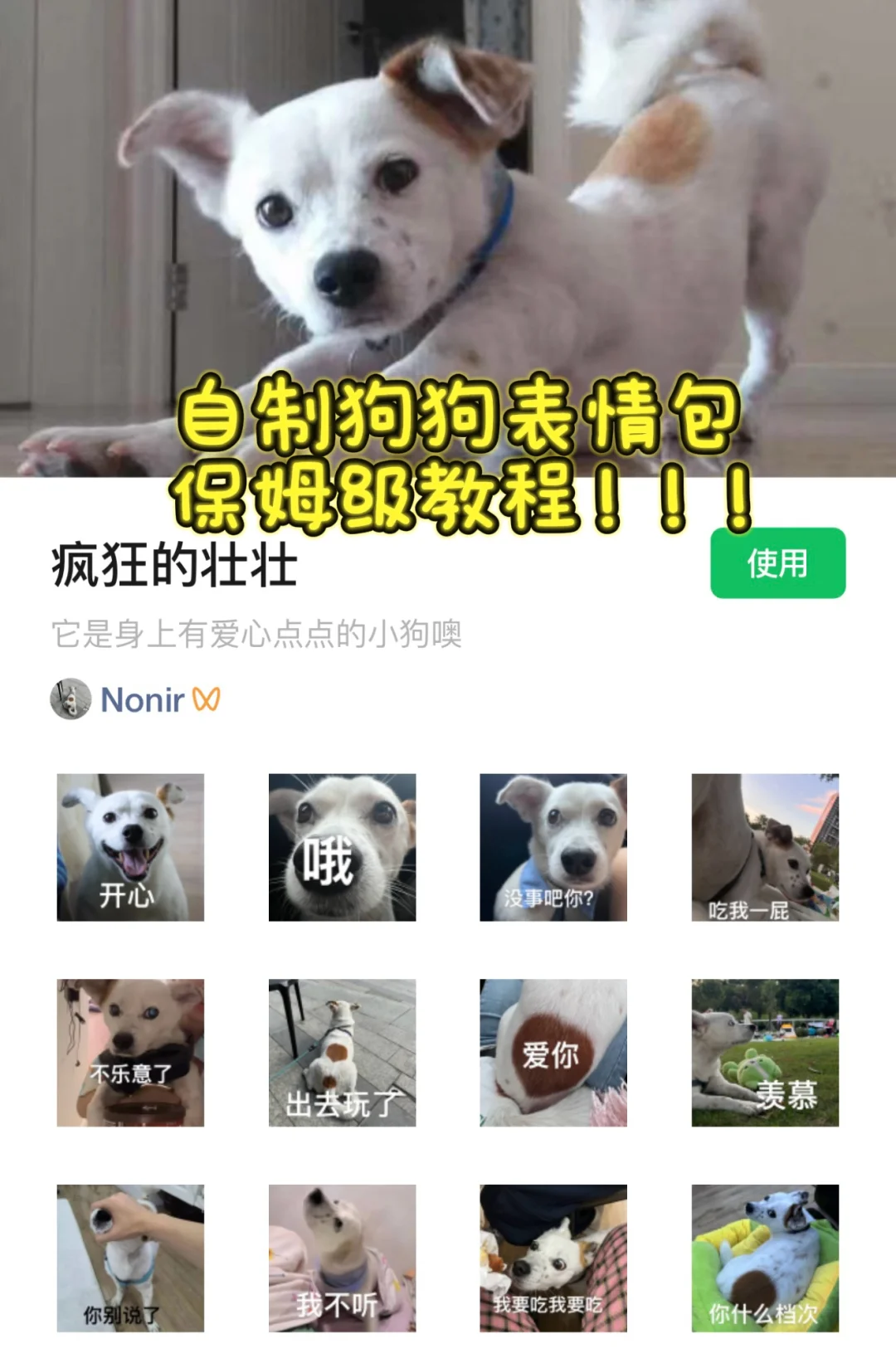 自制宠物表情包全教程！一次性通过！