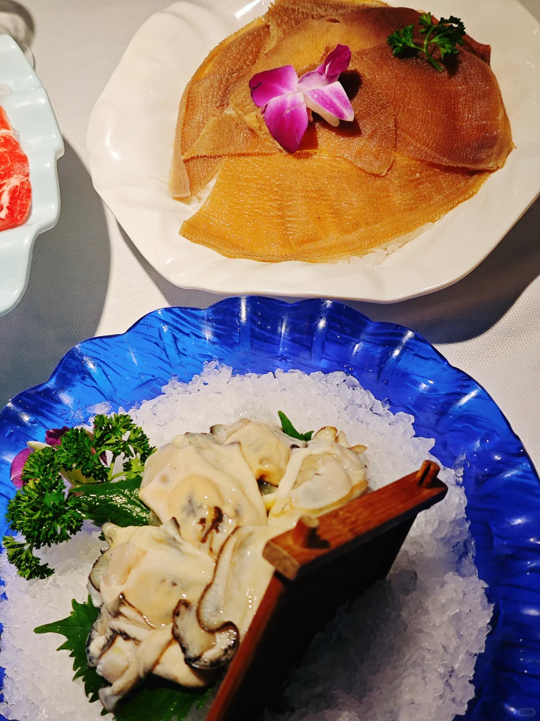 致勇敢的自己｜也是个比基尼运动员了