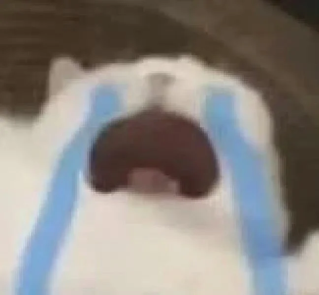 日常分享｜超可爱无字表情包