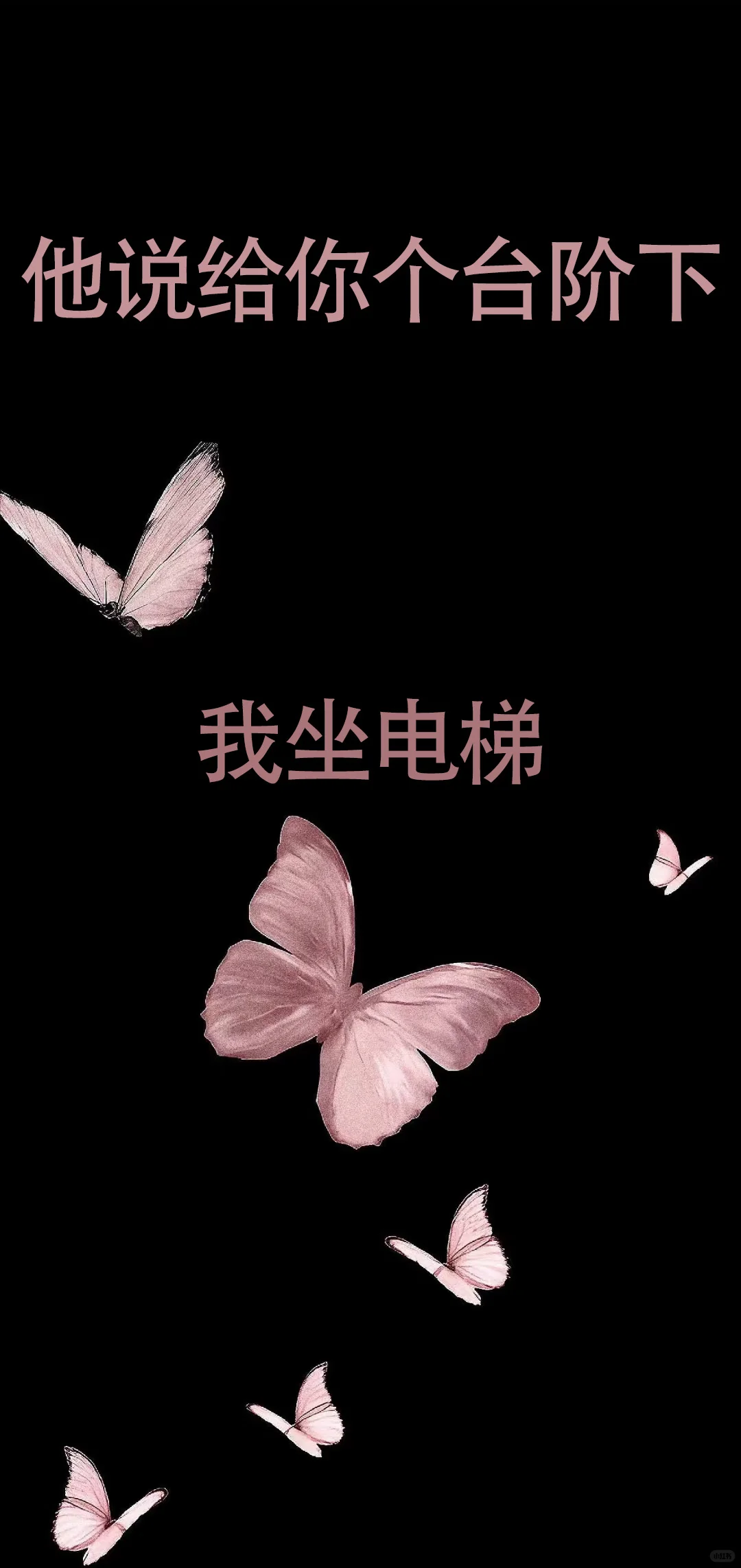 拿去调戏男朋友