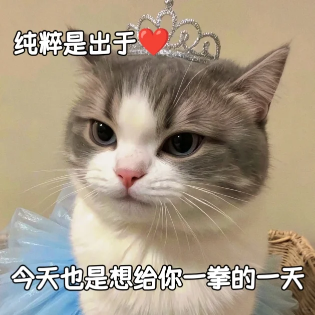 适合聊天专用的杂七杂八情侣表情包