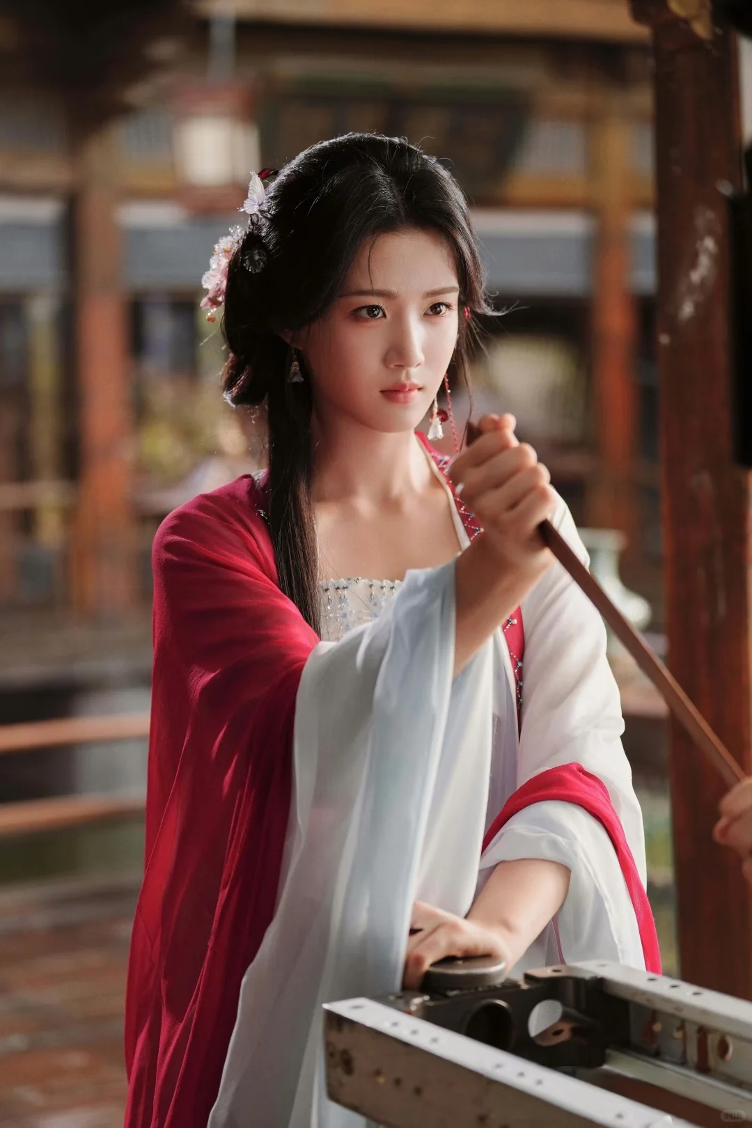 《入青云》明意🌸