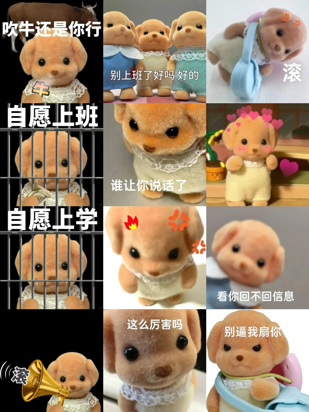 表情包合集来啦～