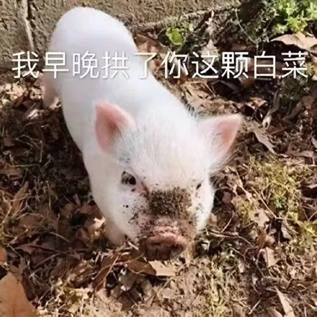 可可爱爱修勾表情包（一）