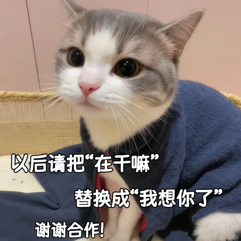 适合聊天专用的杂七杂八情侣表情包