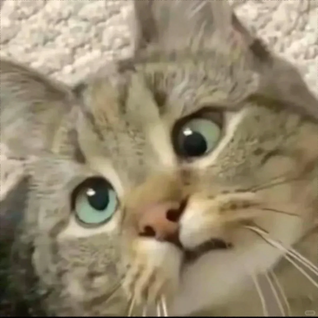 一款让领导不敢委以重任的头像&表情包