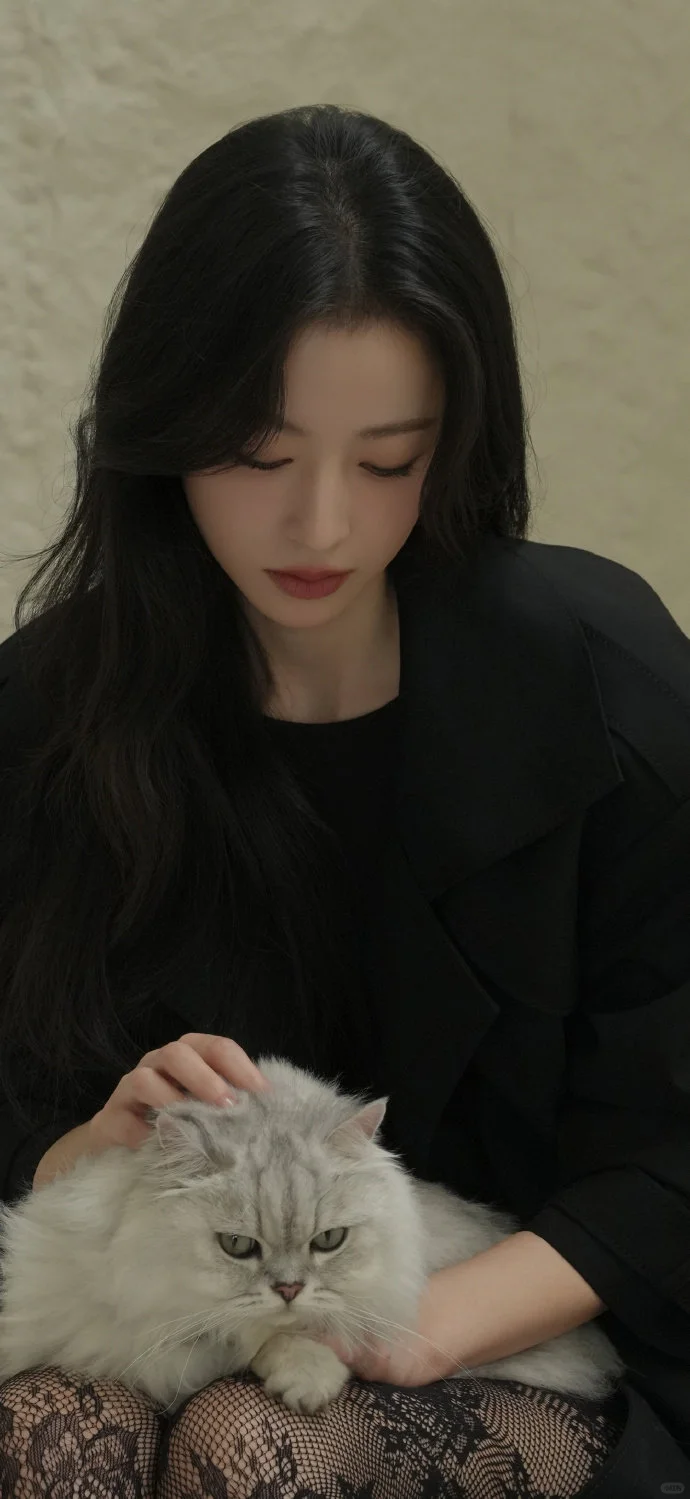 周雨彤壁纸 御姐气场拿捏死御姐气场天花板