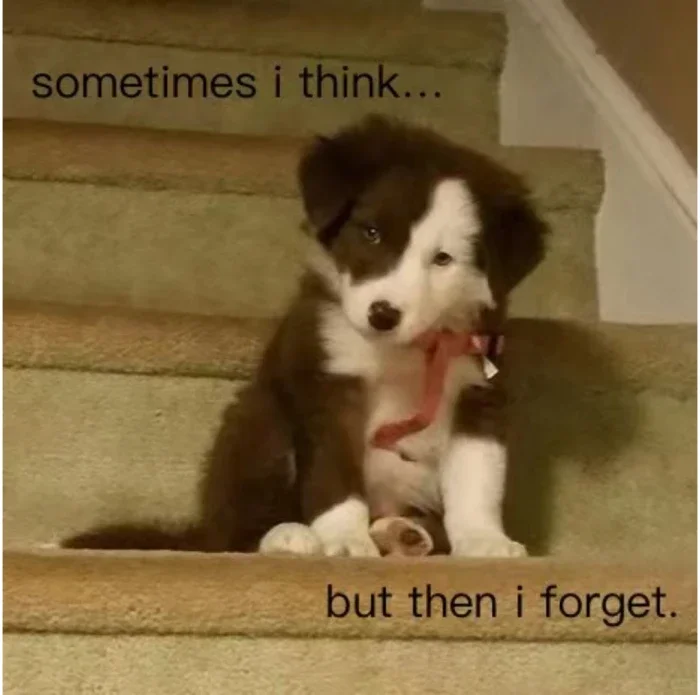 听说小红书开启了早c晚a时代！