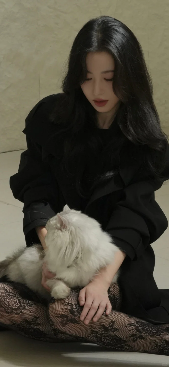 周雨彤壁纸 御姐气场拿捏死御姐气场天花板