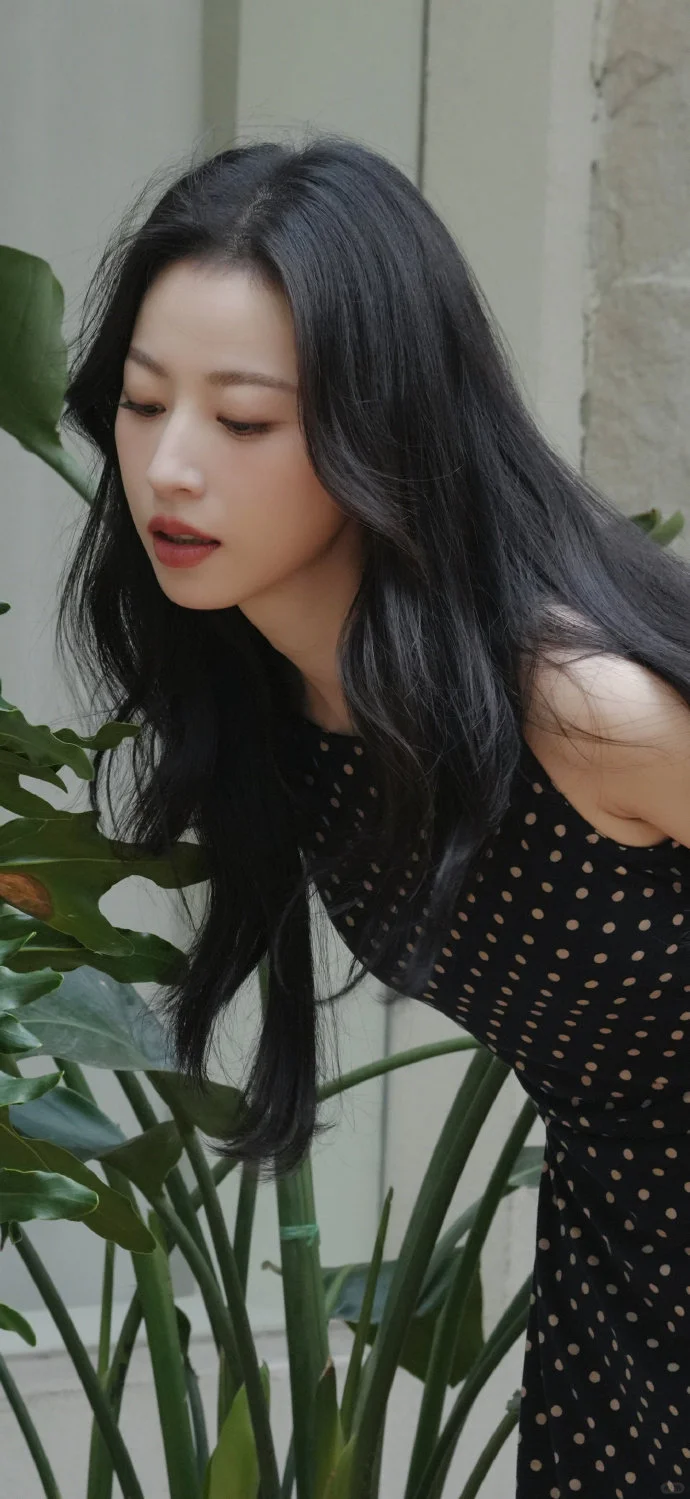 周雨彤壁纸 御姐气场拿捏死御姐气场天花板