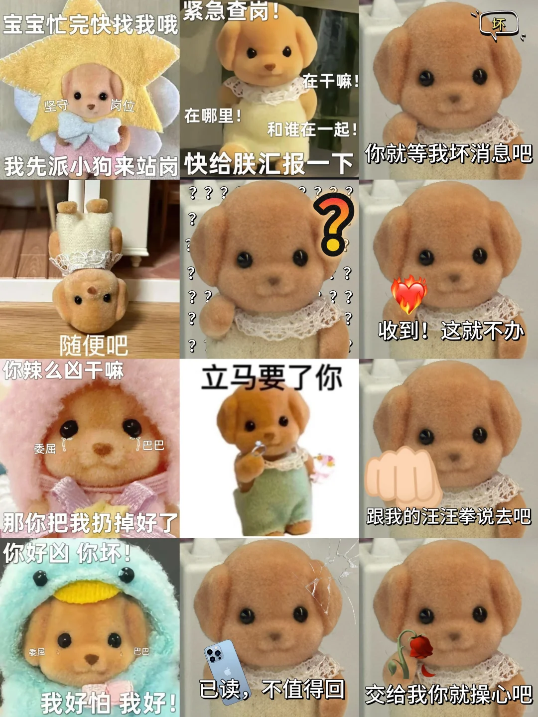 表情包合集来啦～