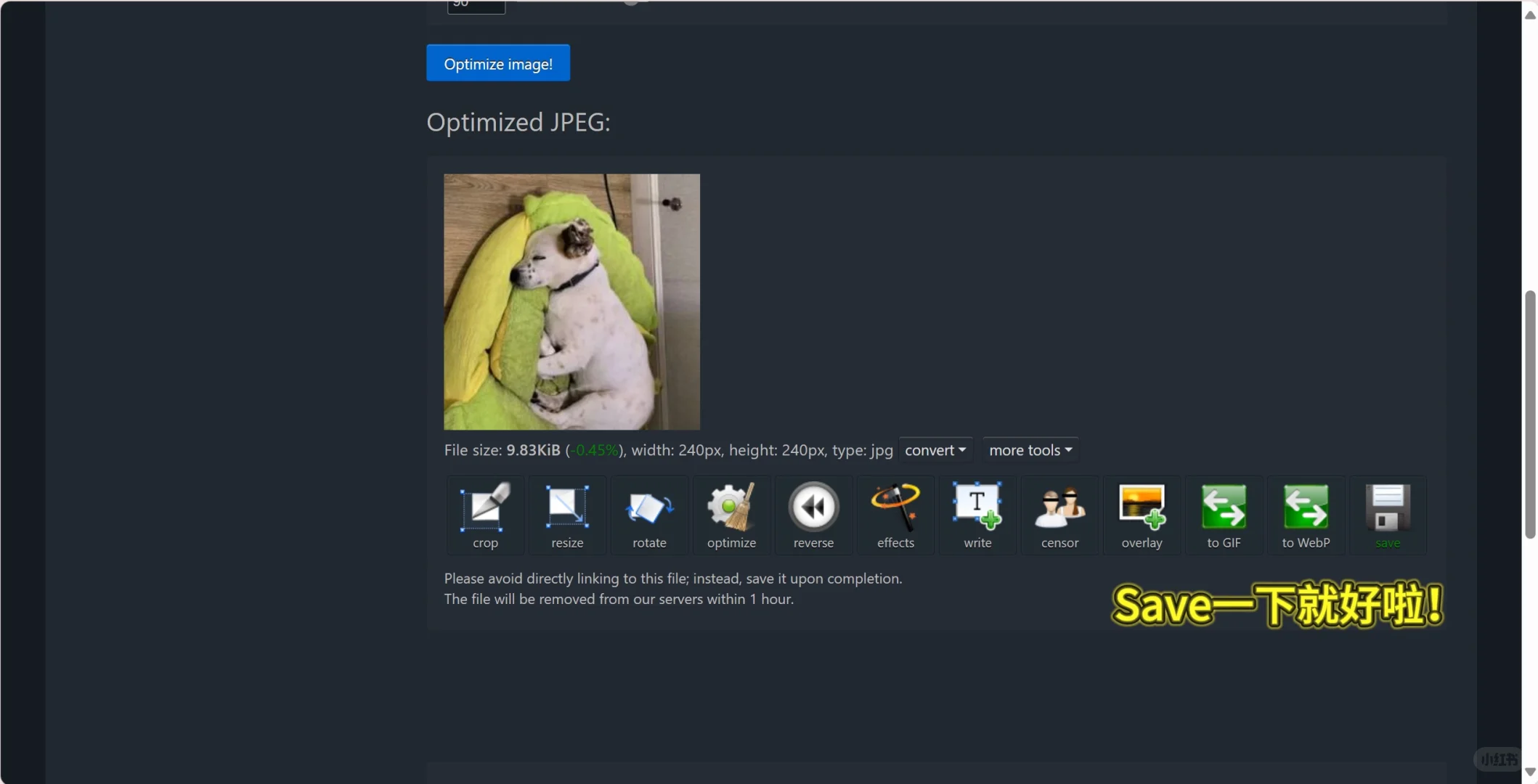 自制宠物表情包全教程！一次性通过！
