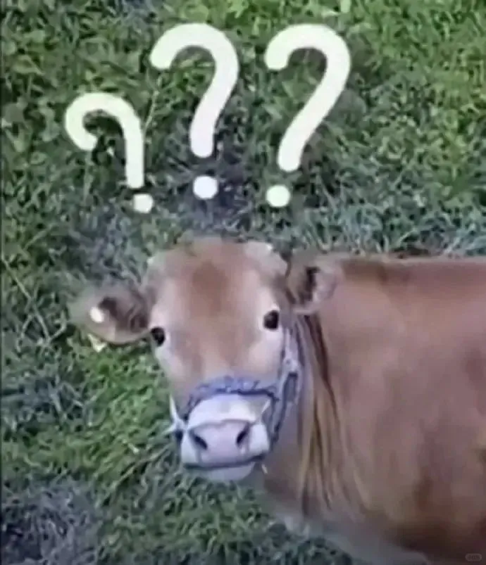 这么多？？总有你喜欢的吧