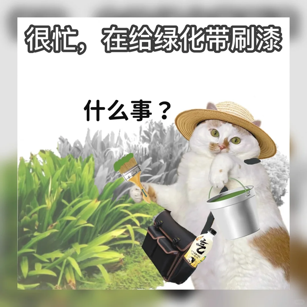 《职场必备！5个“我很忙”敷衍表情包🔥