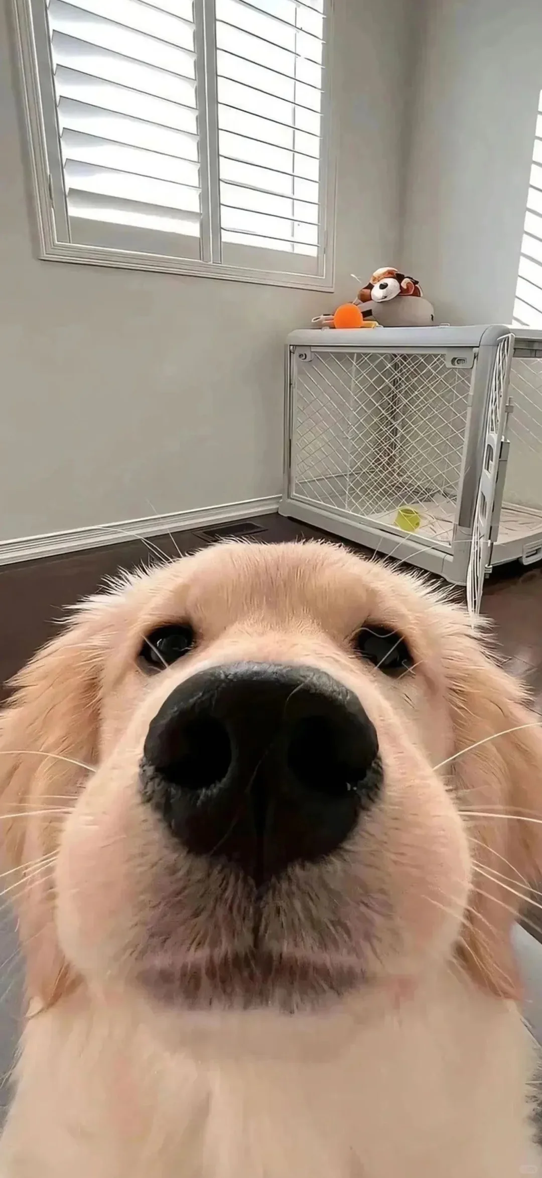 ios26空间场景壁纸