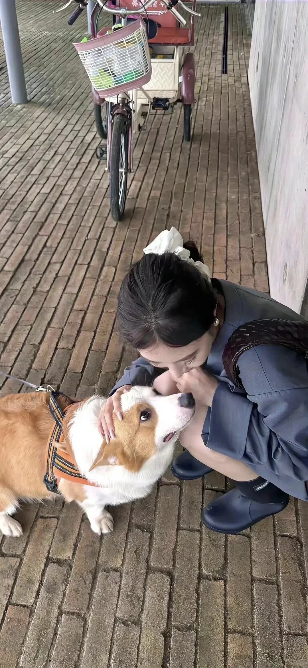 壁纸｜超好看的全屏手机壁纸