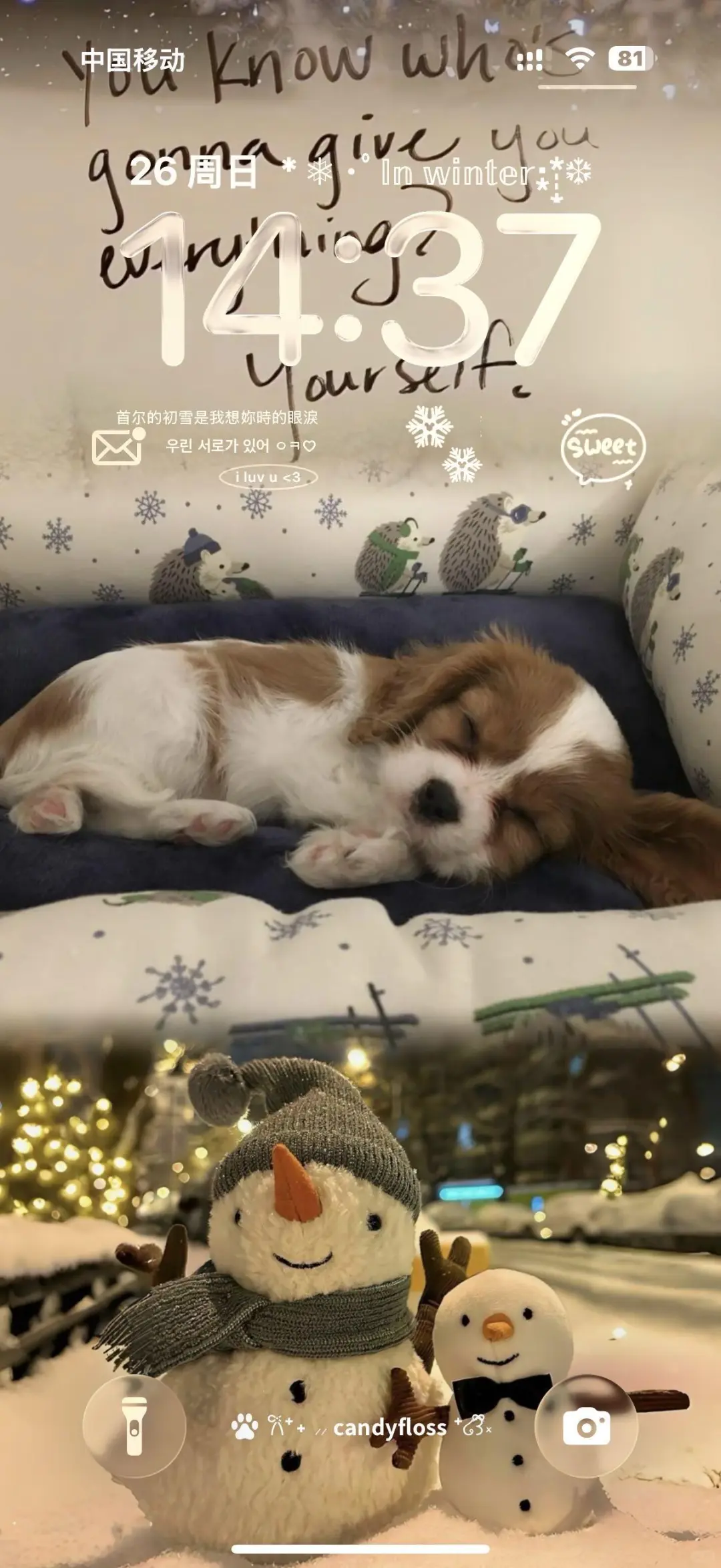 Share｜冬日氛围感壁纸♪‧♪‧⁺⁎˚