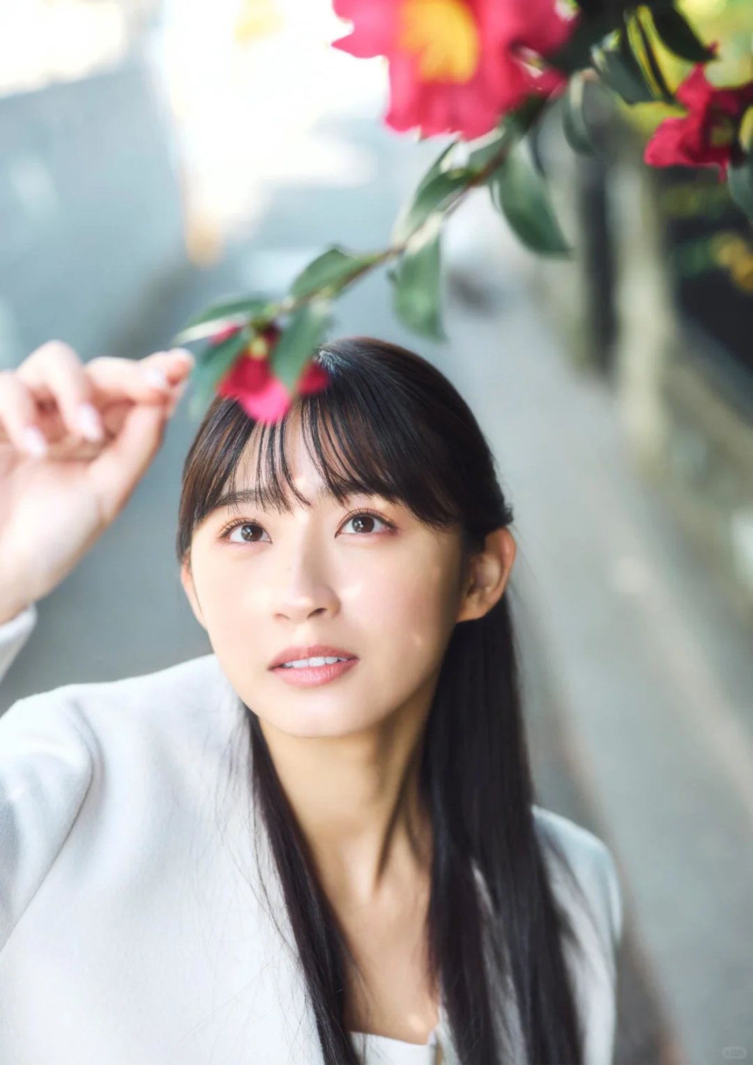 日系美女写真集代找绝版电子书