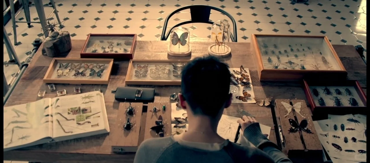 早期黏糊失恋浩