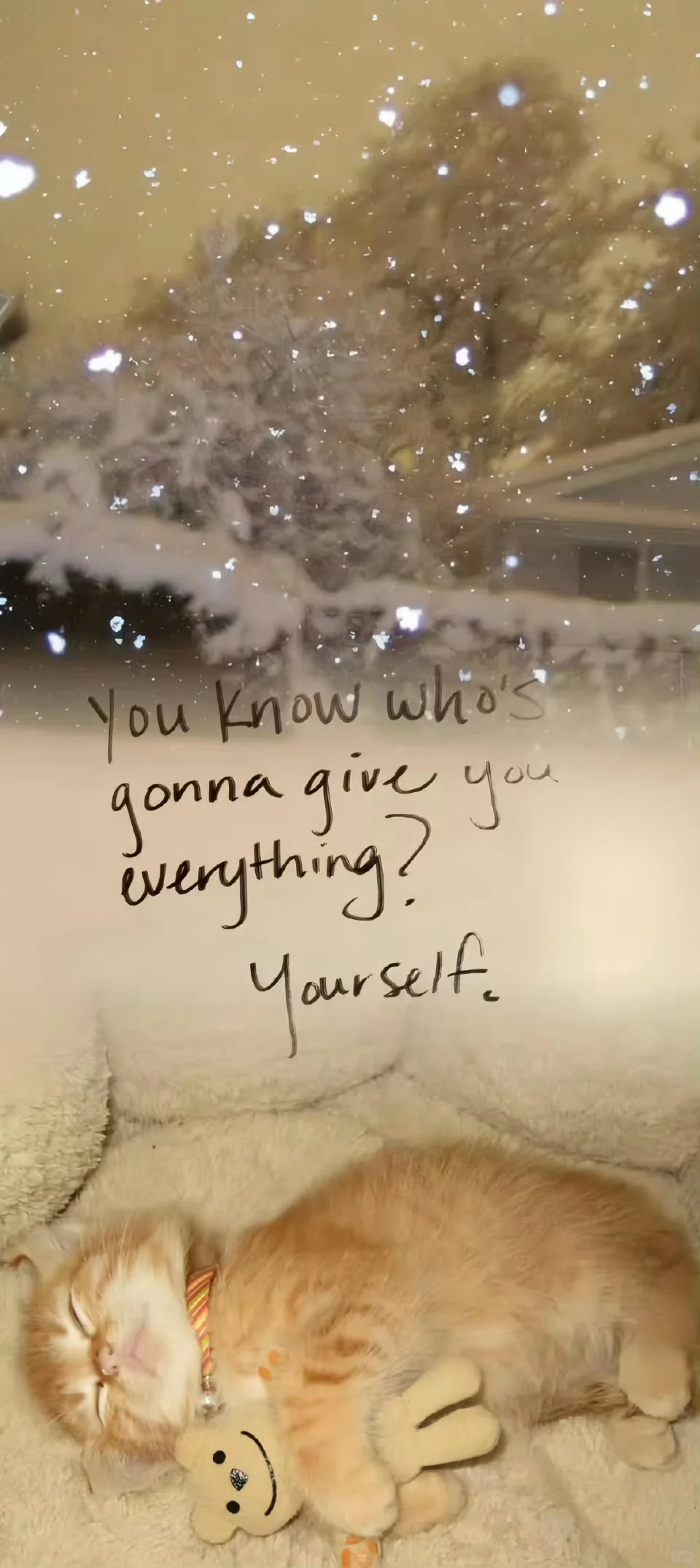 𝙎𝙃𝘼𝙍𝙀🍂 | ins美拉德色系壁纸