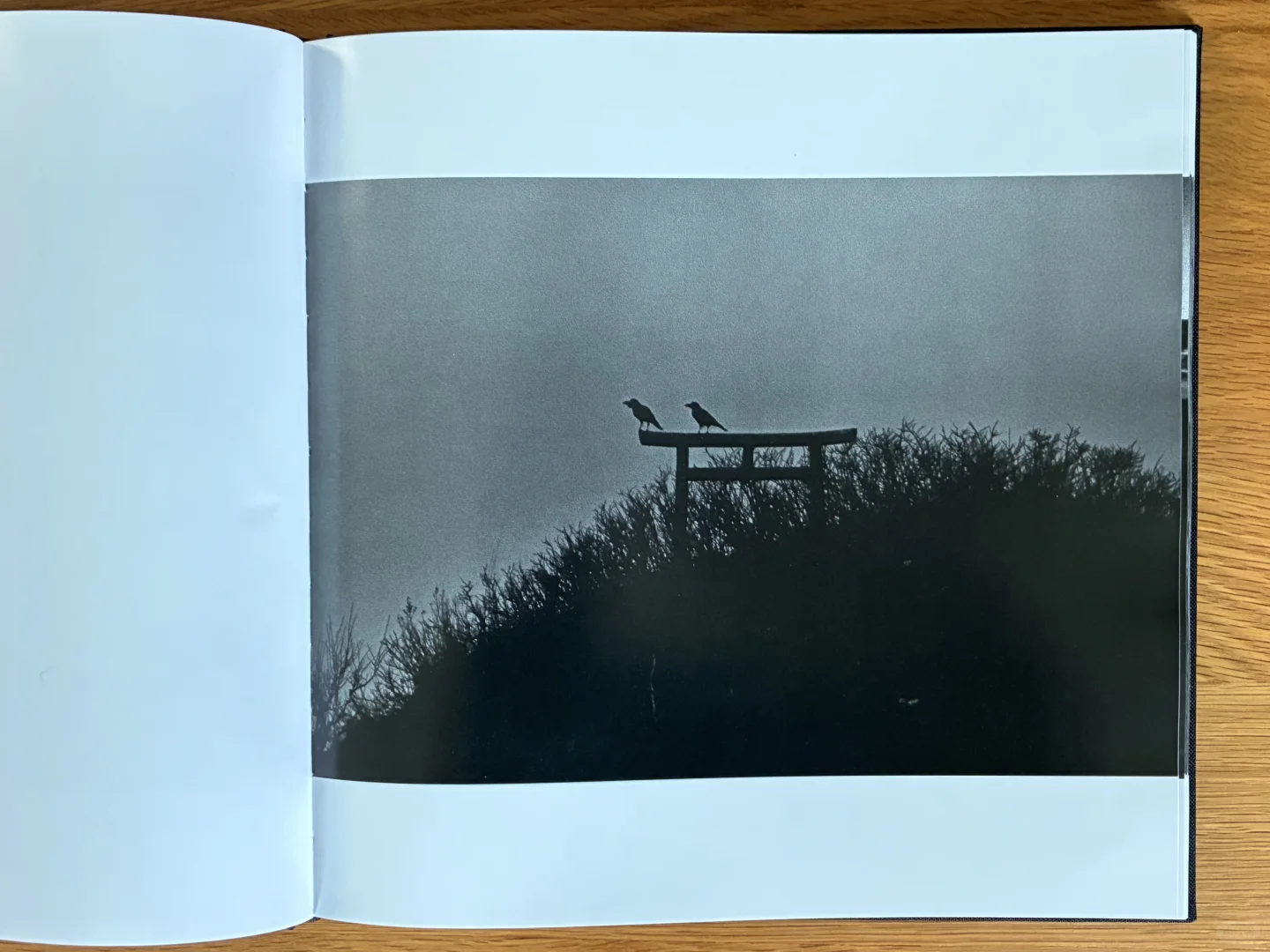 深濑昌久《鸦》