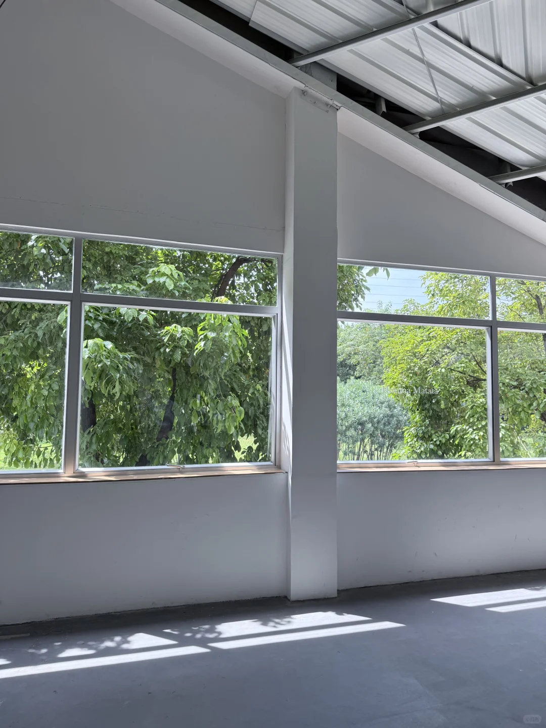 🌳下课后遇到好天气