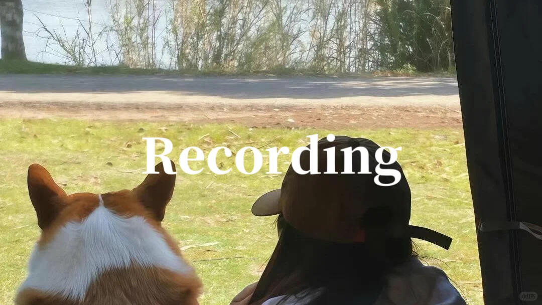 plog🔥ins风壁纸，公主👸请礼貌拿图