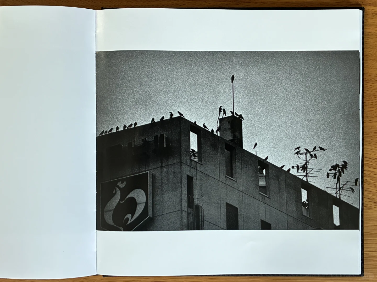 深濑昌久《鸦》