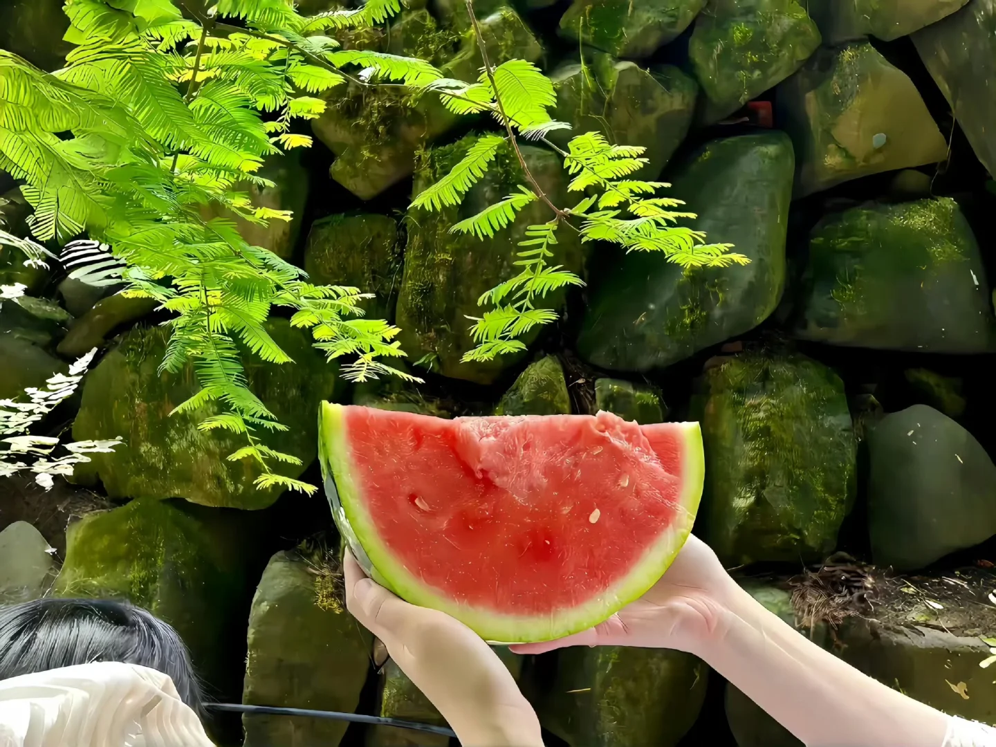 170｜清透治愈系iPad 壁纸