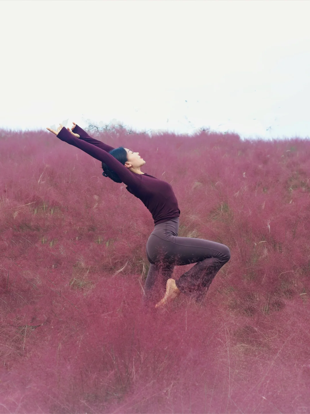 秋日户外瑜伽｜粉紫色的浪漫