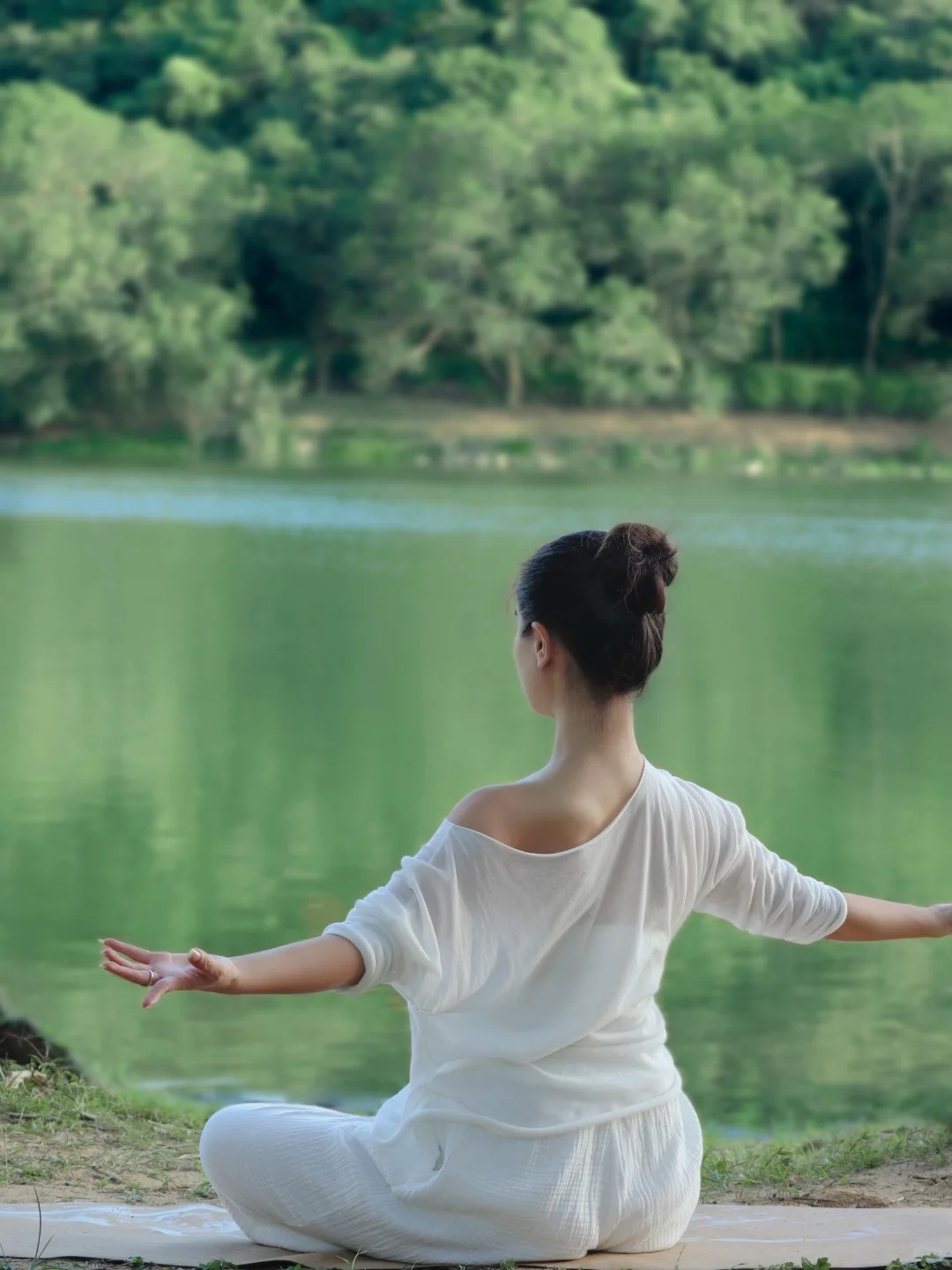 ｜静坐时与天地共鸣｜舒展时与草木同频