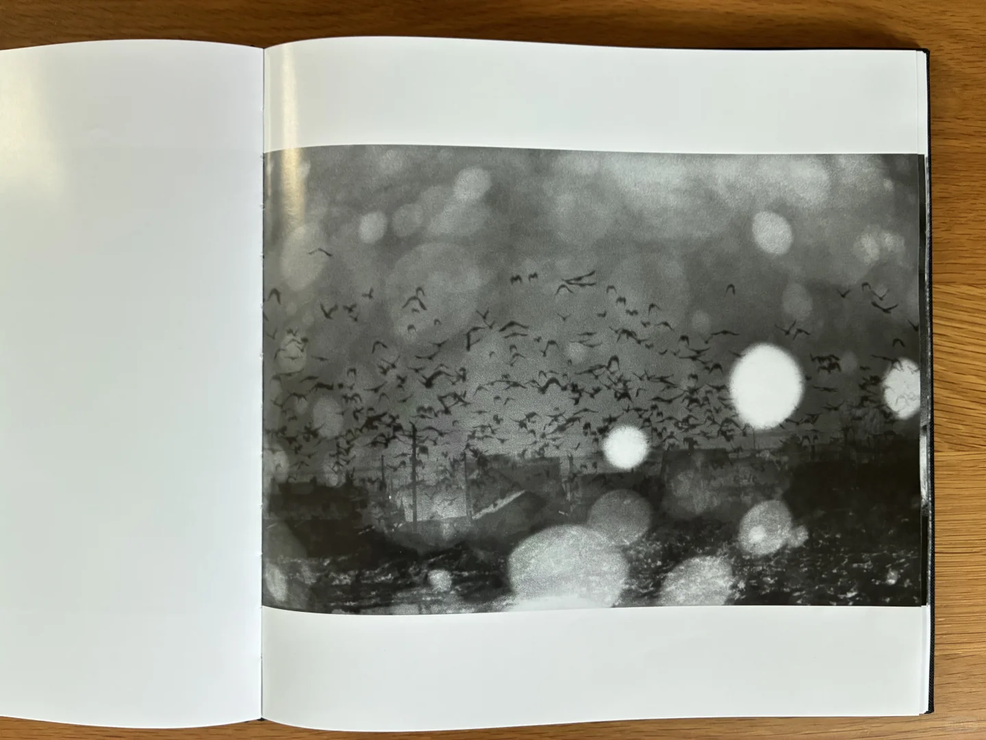 深濑昌久《鸦》