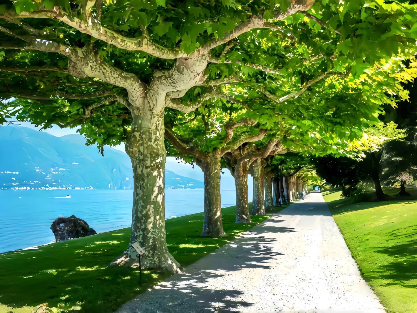 170｜清透治愈系iPad 壁纸