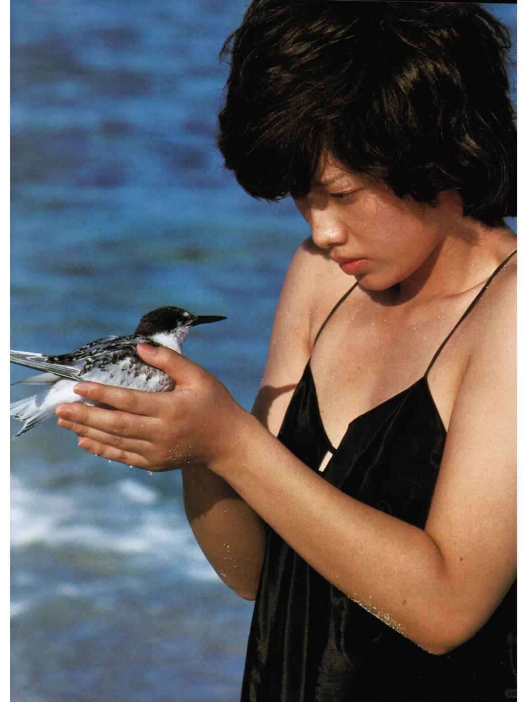 审美分享 | 篠山 紀信 & 山口百惠