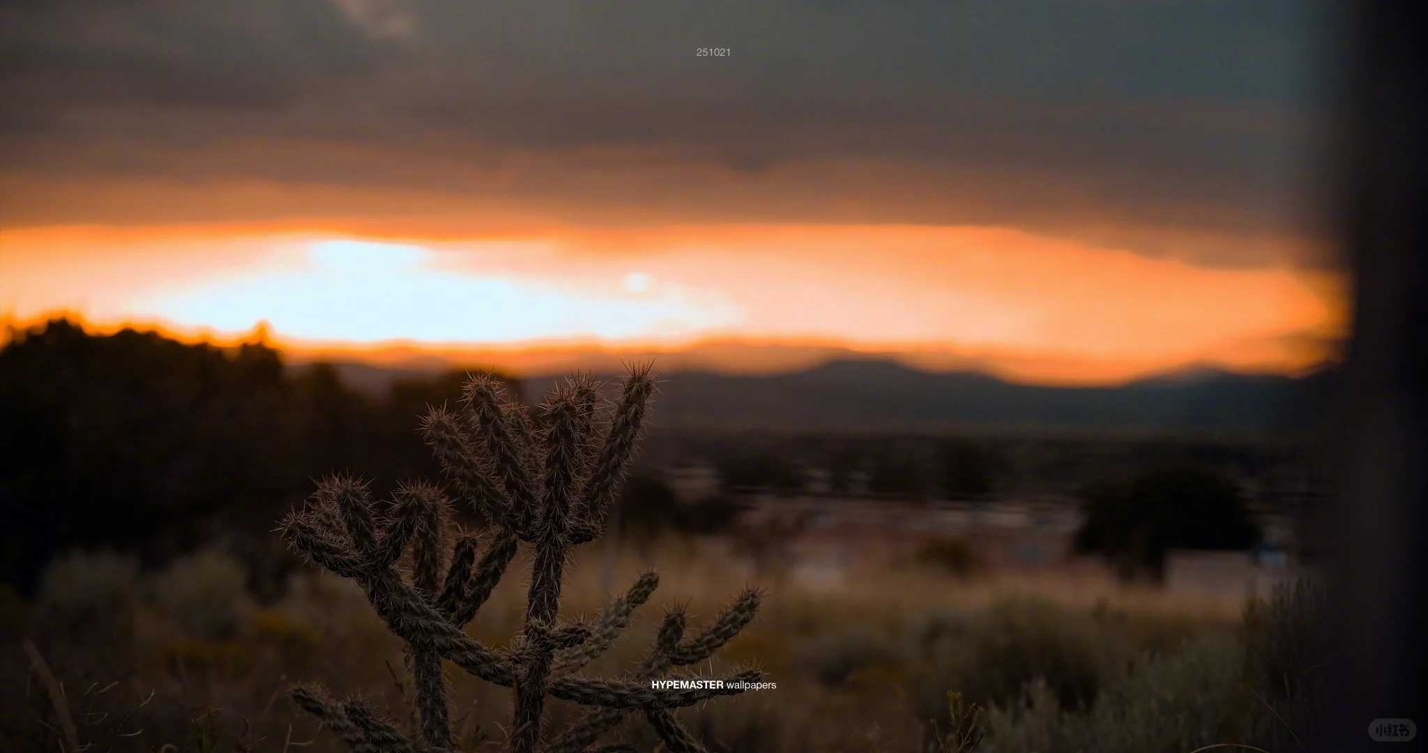 氛围感拉满的ipad电脑横屏壁纸