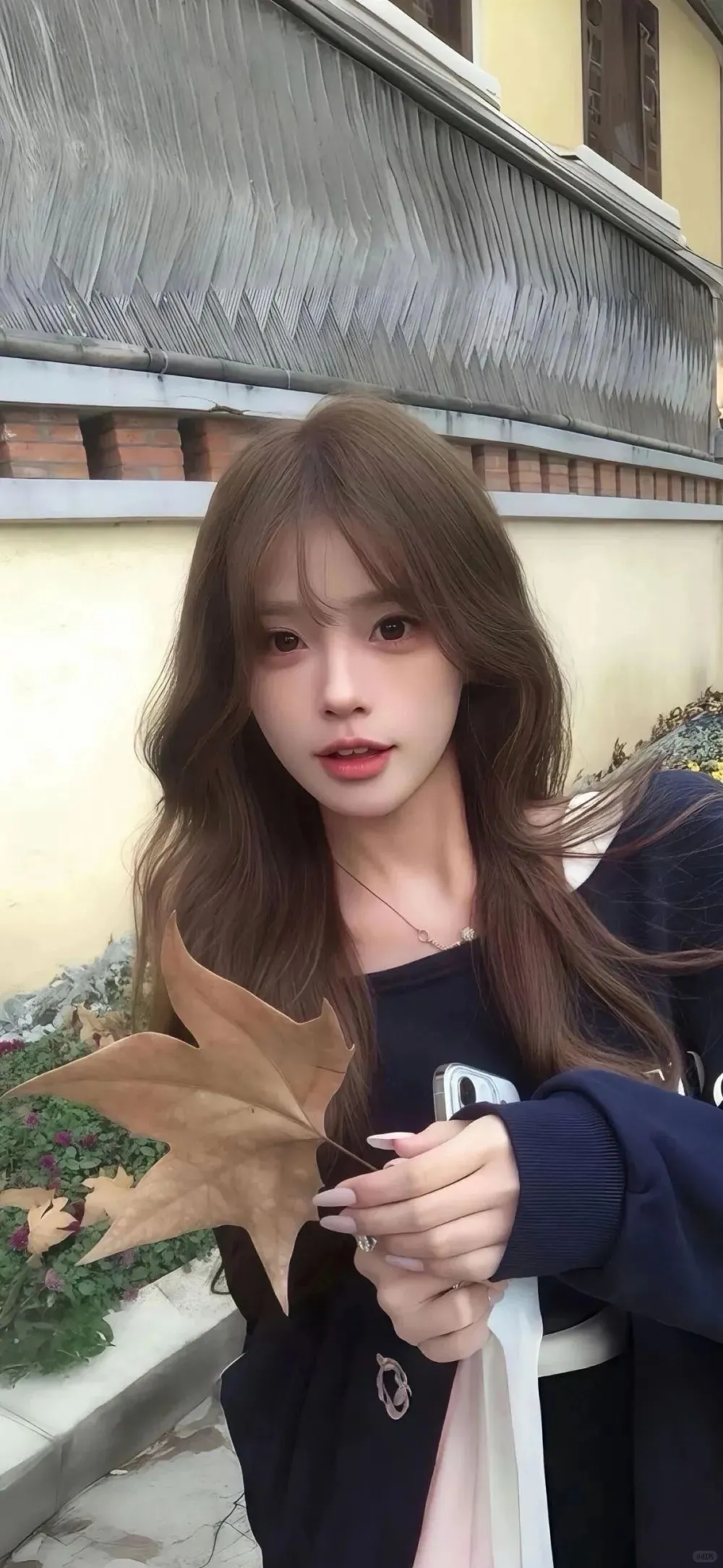 壁纸｜超好看的全屏手机壁纸