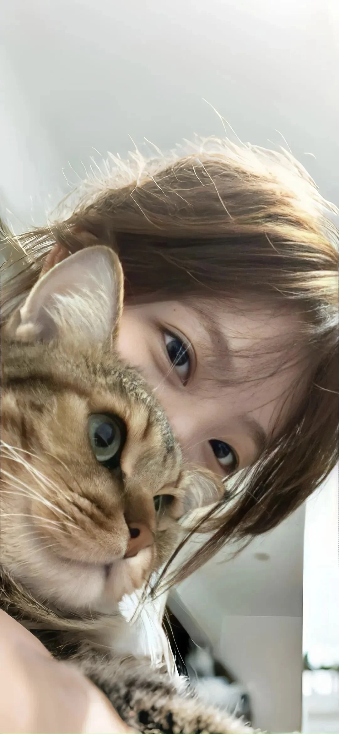 壁纸｜超好看的全屏手机壁纸