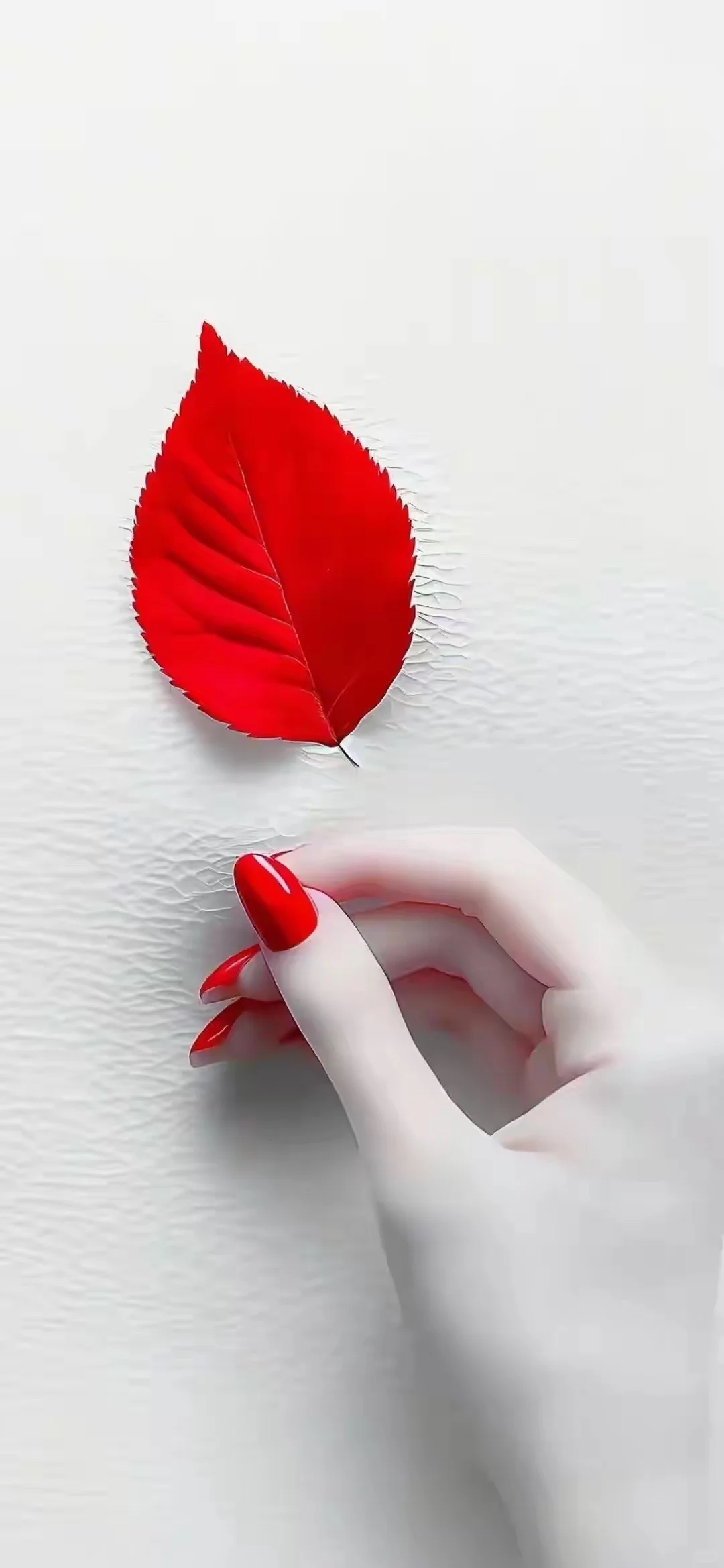 手机壁纸｜看着简单，舒服的手机壁纸