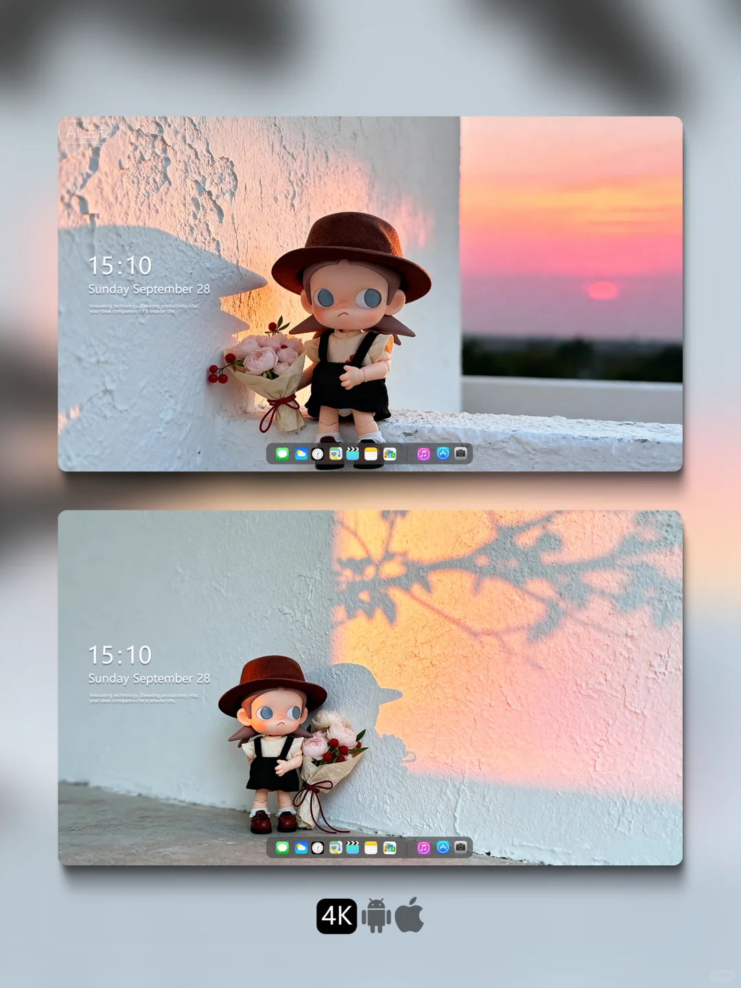 207💐壁纸■送一束花给你