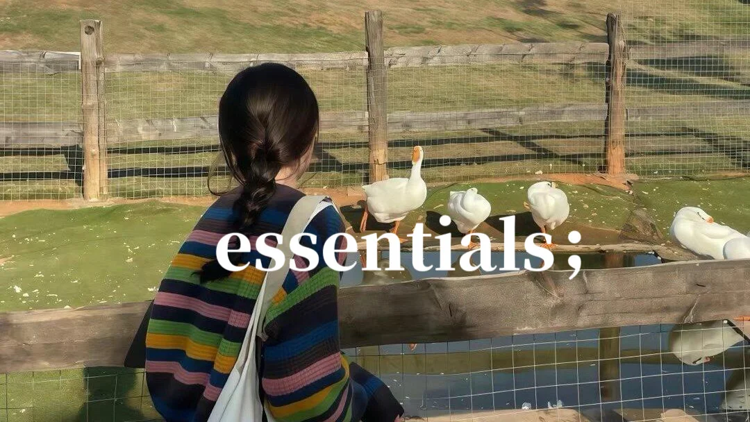 plog🔥ins风壁纸，公主👸请礼貌拿图