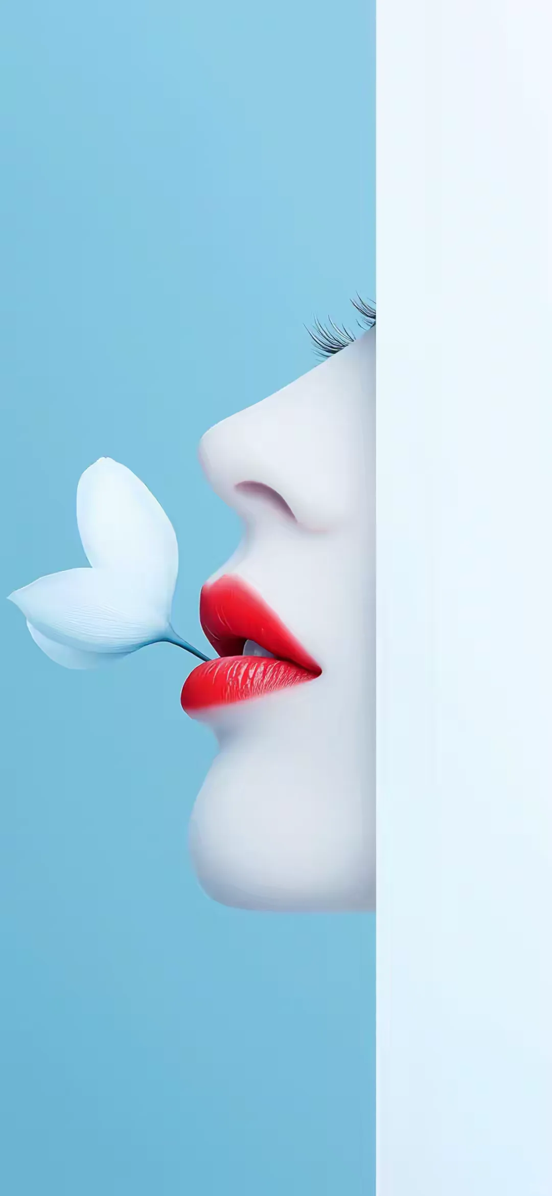 手机壁纸｜看着简单，舒服的手机壁纸