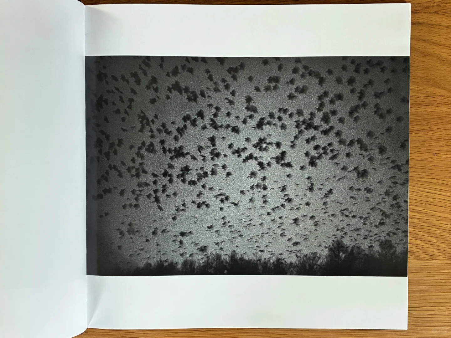 深濑昌久《鸦》