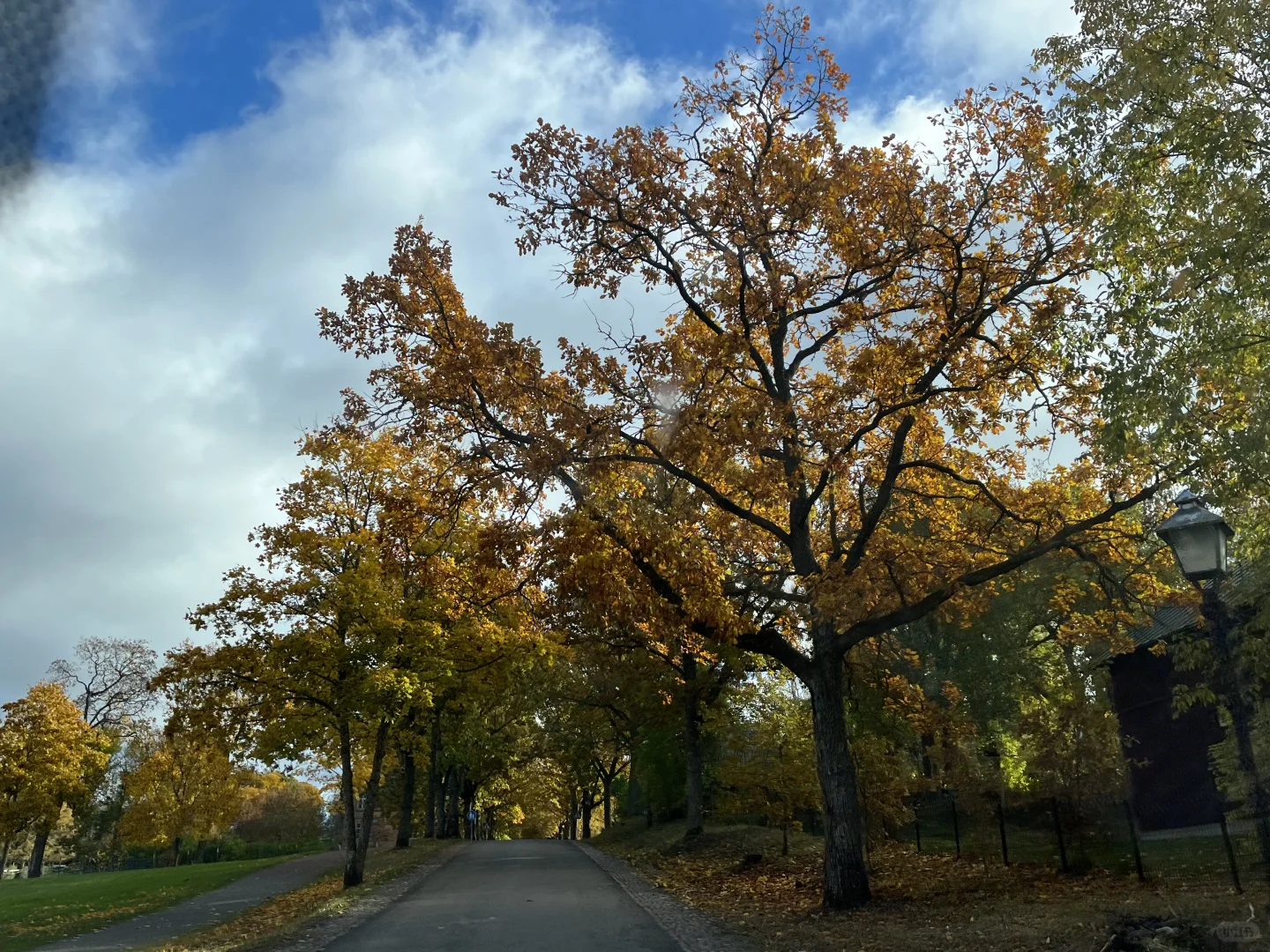 突然想起来那个被我拒绝了的求婚
