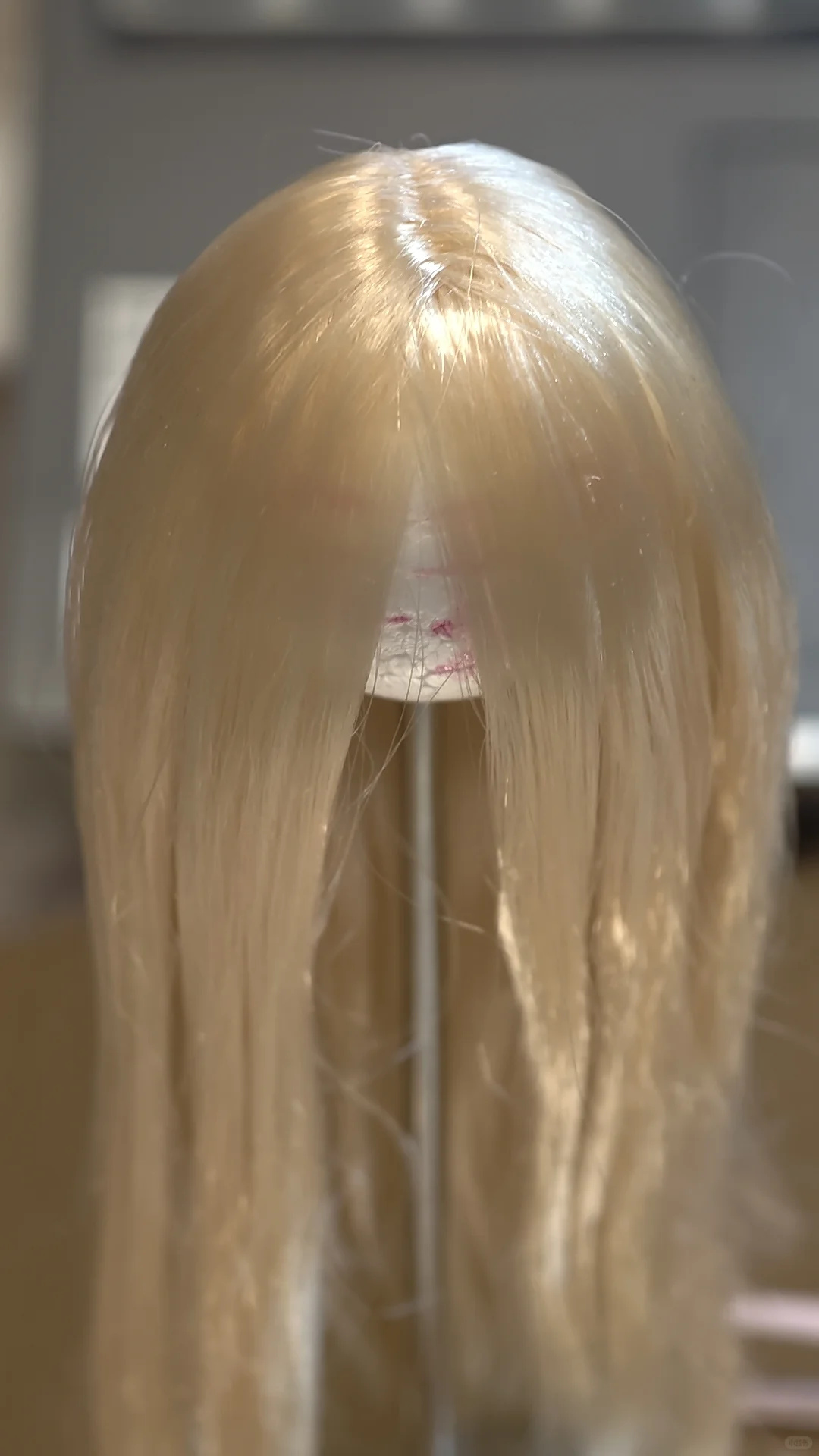 小小小叽的诞生..