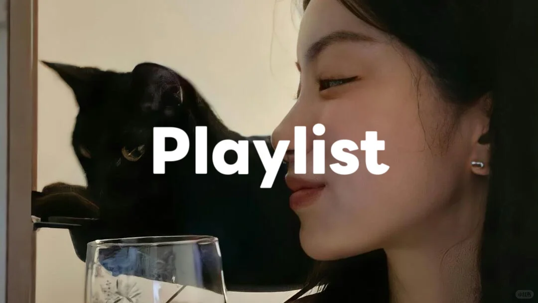 plog🔥ins风壁纸，公主👸请礼貌拿图