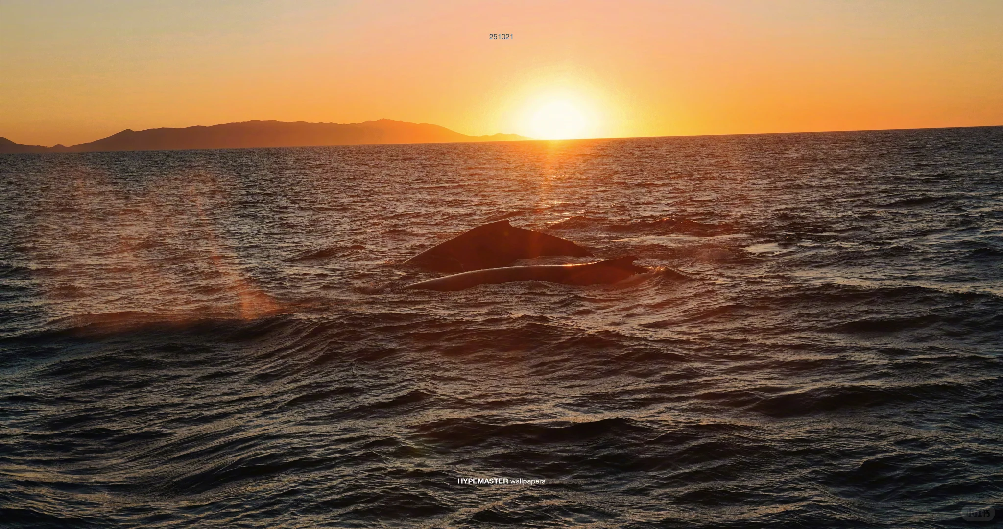 氛围感拉满的ipad电脑横屏壁纸