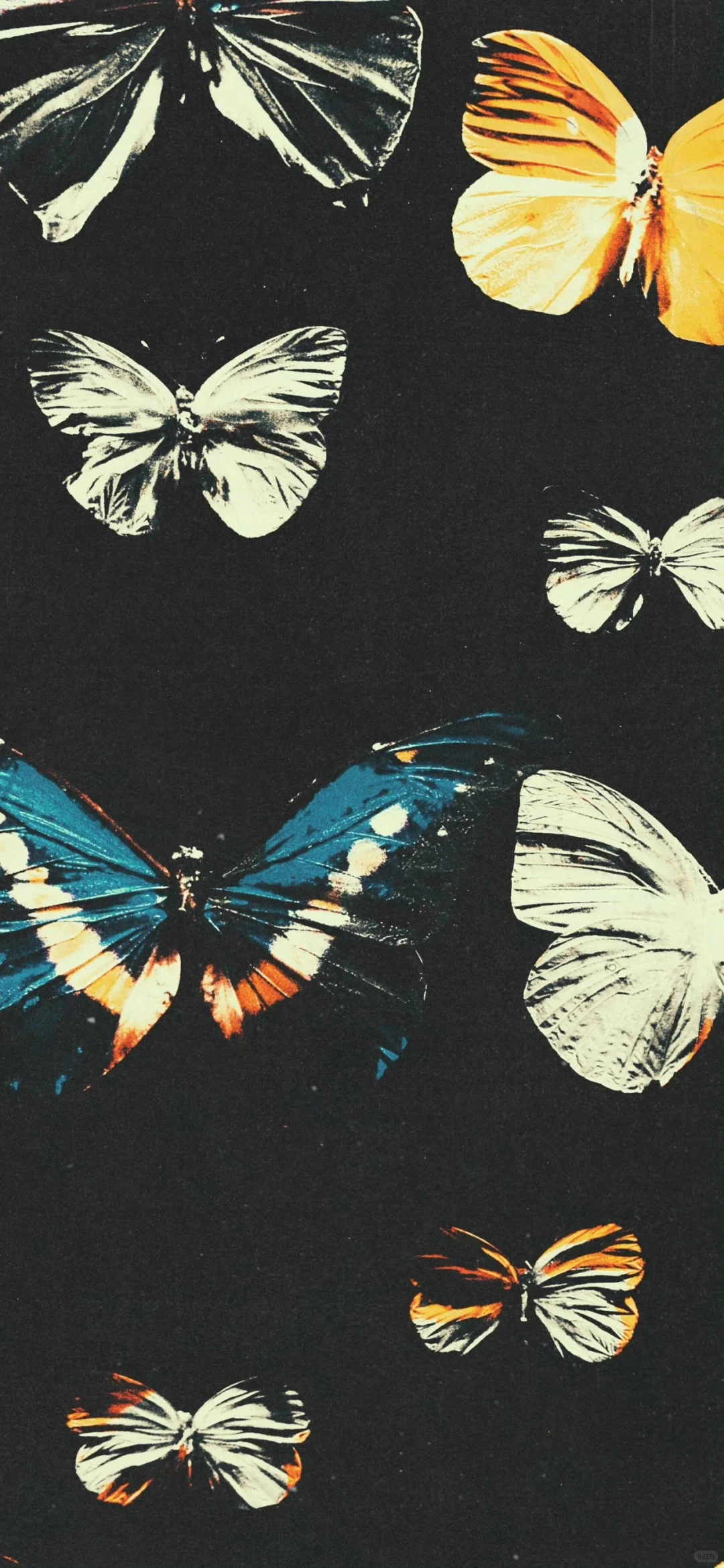 𝑺𝒉𝒂𝒓𝒆黑色系氛围感壁纸